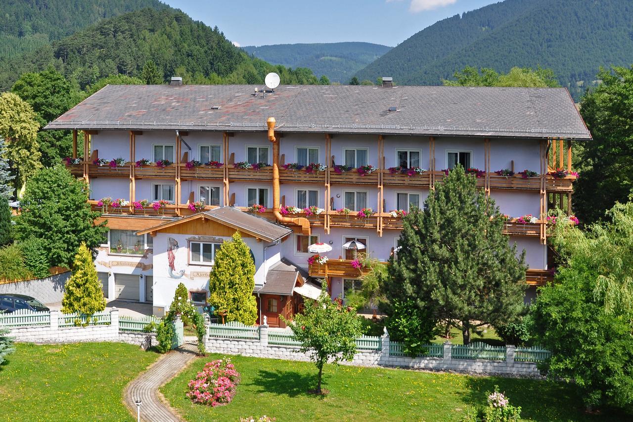 Wellnesshotel Paradiesquelle Puchberg am Schneeberg Exterior foto